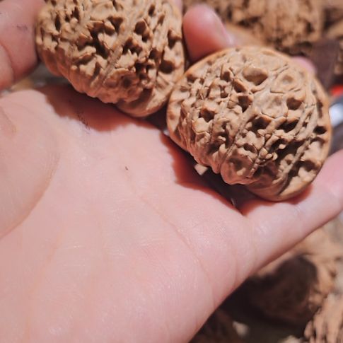 吊坠文玩核桃42白狮子