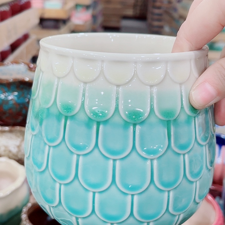 多肉花盆满10元包邮