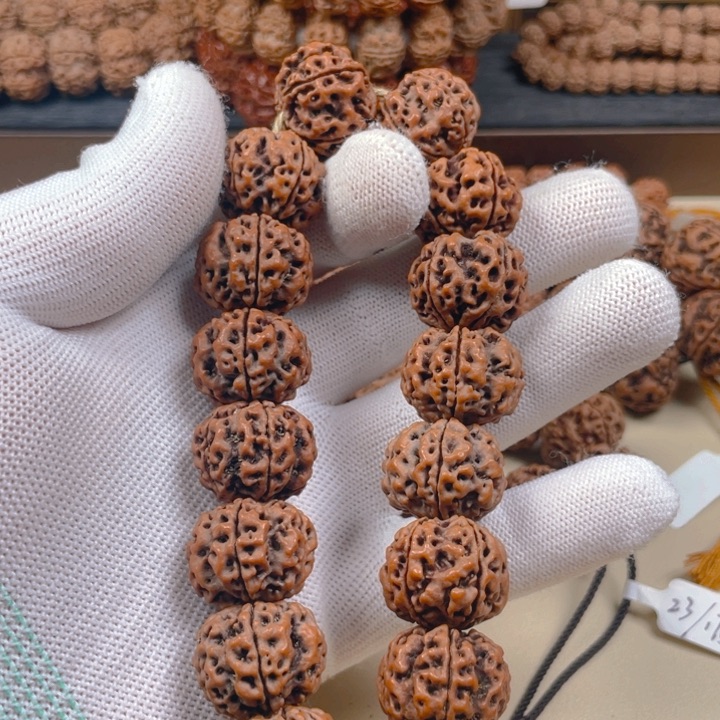 金刚菩提手串22mm粗筋双龙