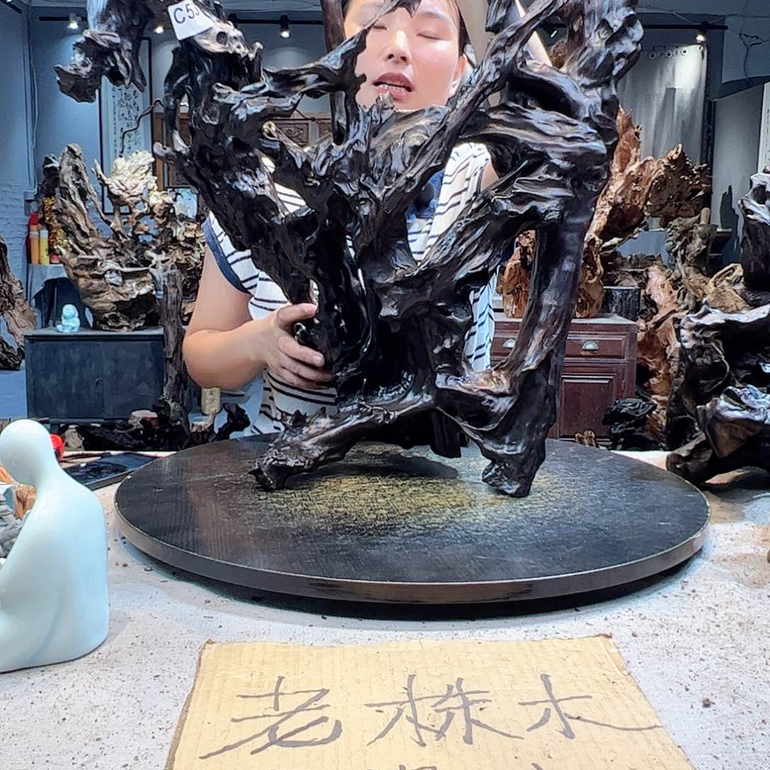 摆件合****养537哥哥哥哥哥哥哥哥