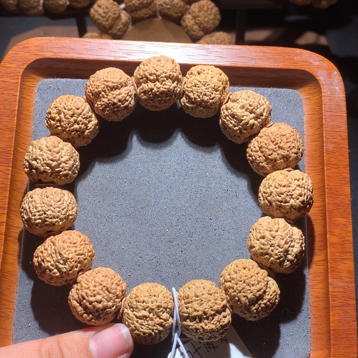 菩提籽类22+菠萝蜜