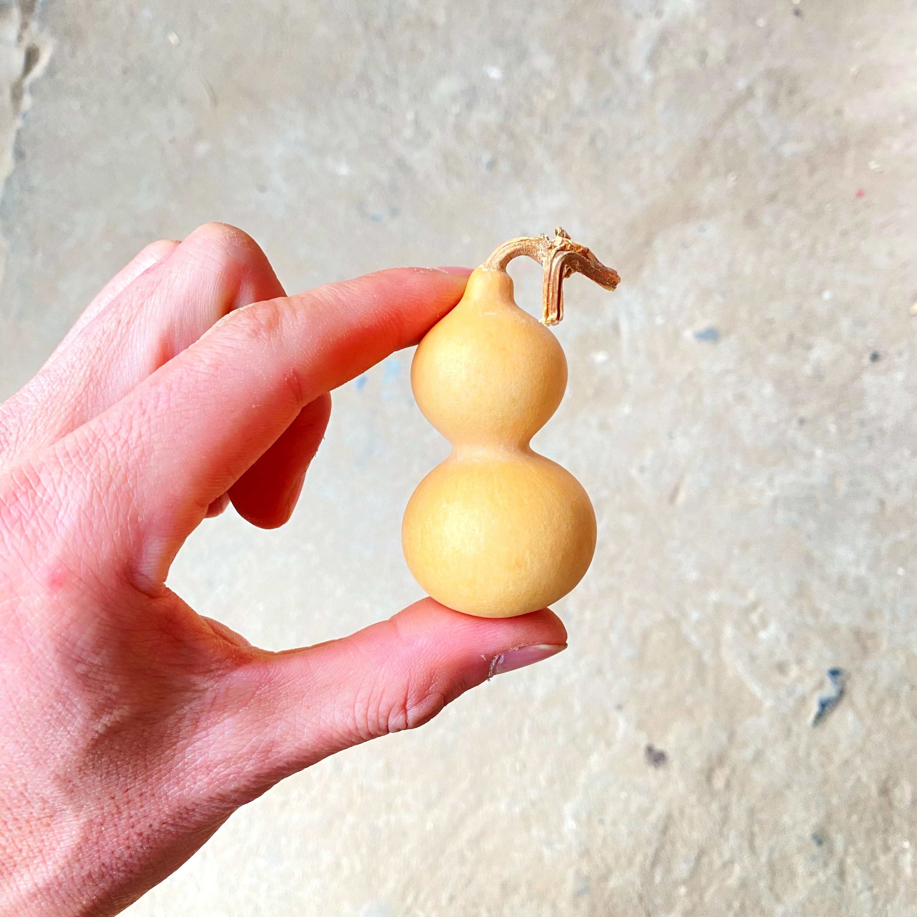 葫芦拍品直播间改价专用链接