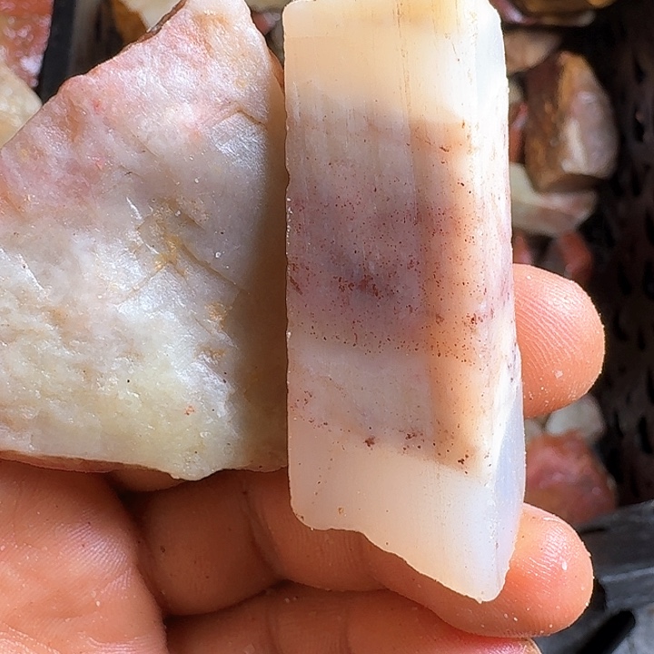 上***室寿山石寿山石的种类