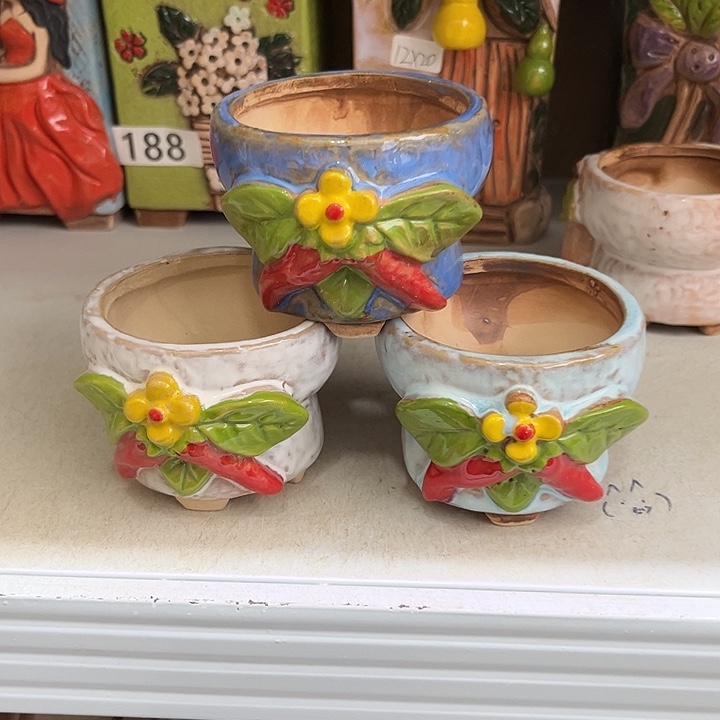 粗陶材质多肉花盆