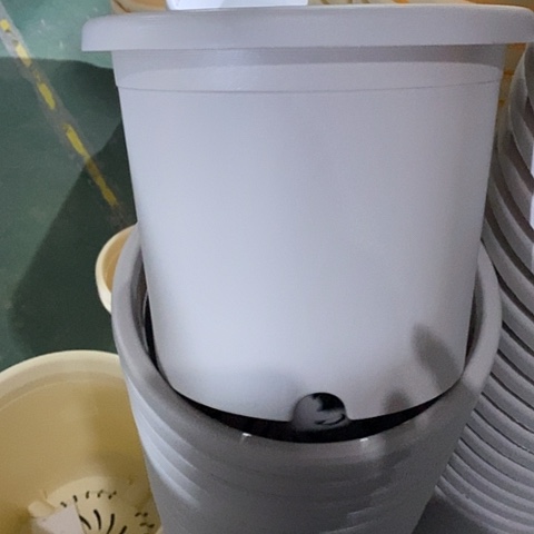 树脂四季3号灰白无托10个微瑕