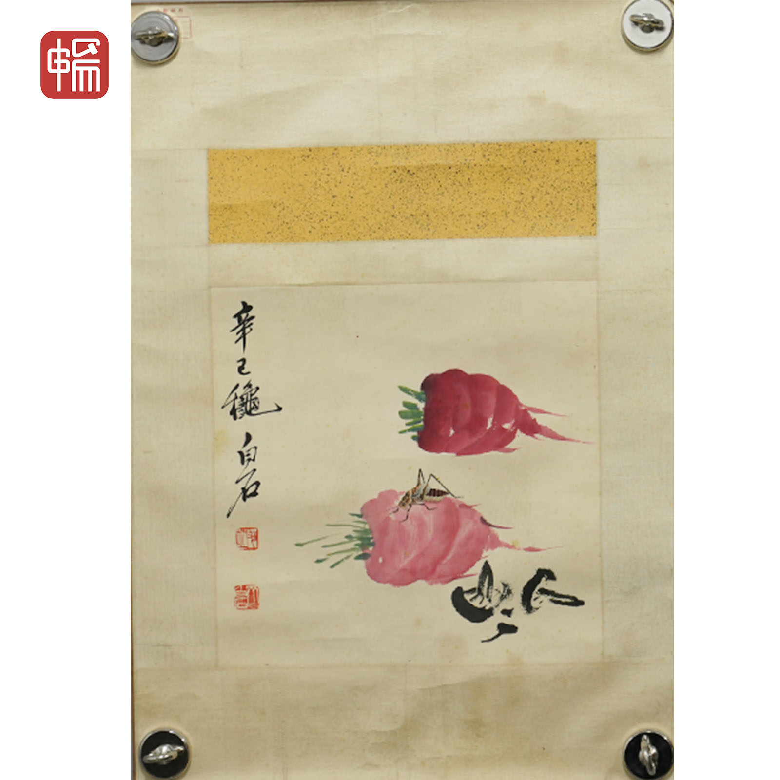 T482 蔬菜蝈蝈 30.5*30（0.82）纸本镜片 ZW