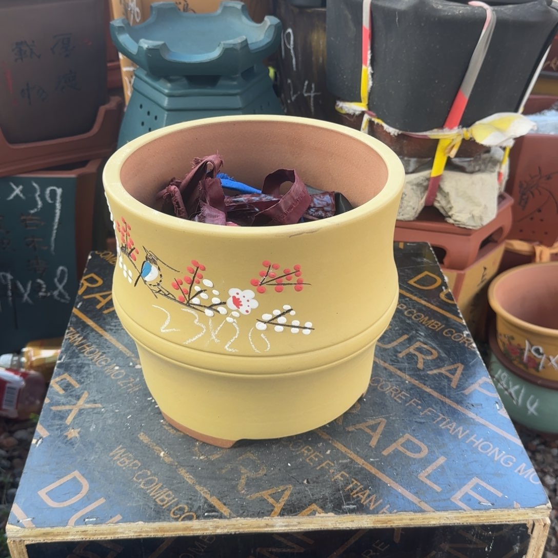 紫砂花盆花盆盆景盆栽