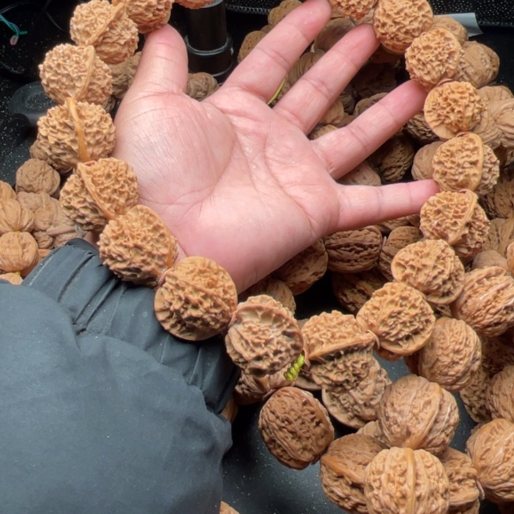 文玩核桃吊坠哈***哈7珊瑚塔