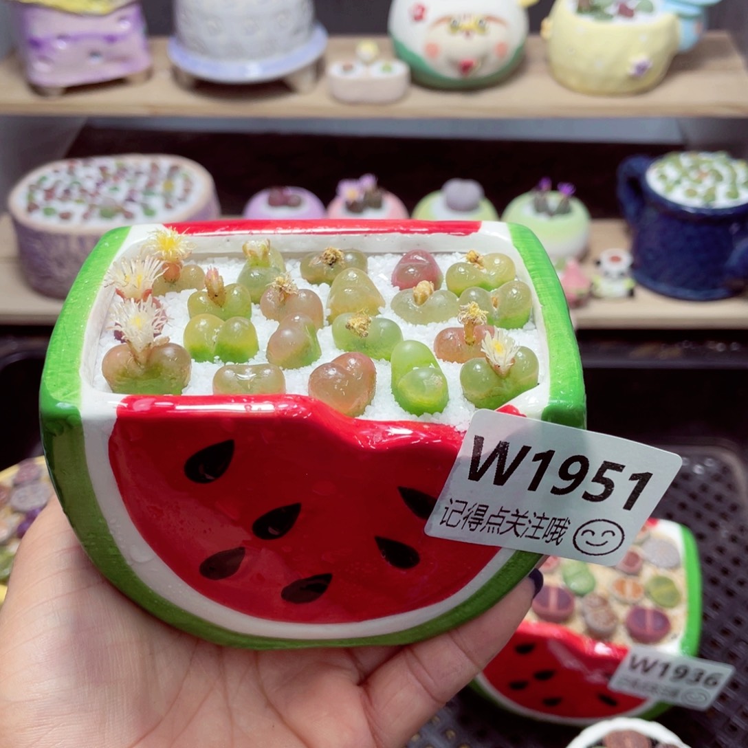 零下地区拍保温箱w1951