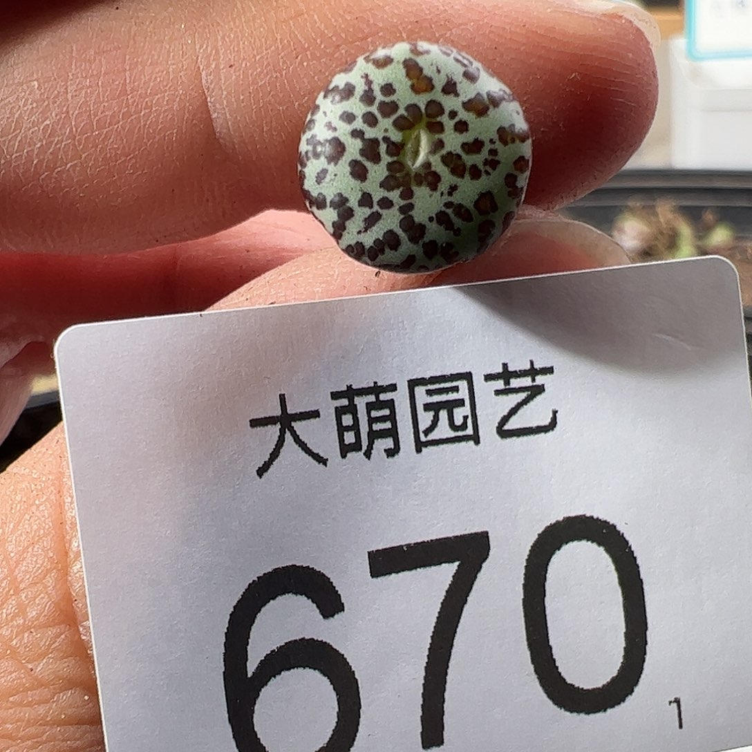 0000670 一物一拍……