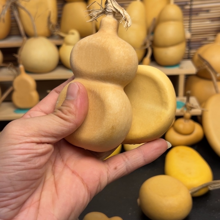 财****?6366666668896699