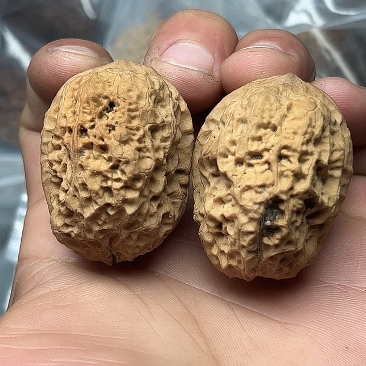 文玩核桃把件35号文太蛤蟆40尺