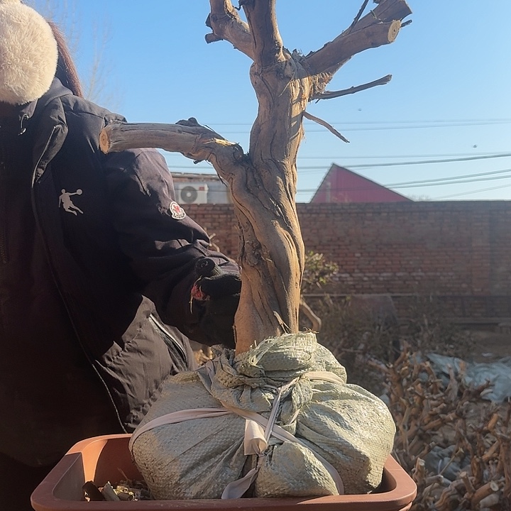 完全开放11111111