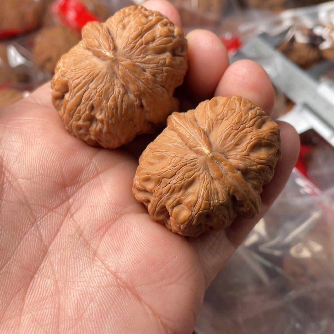 大叶紫檀（黑酸枝木类）悬**鹰核农文玩核桃元宝虫眼