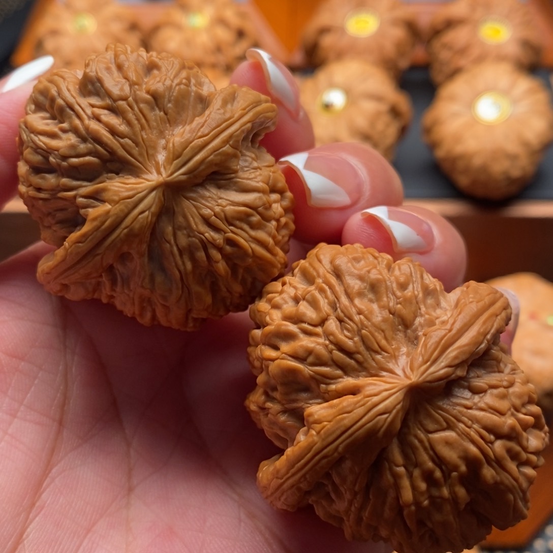 文玩核桃把件43尺大肚子白狮子