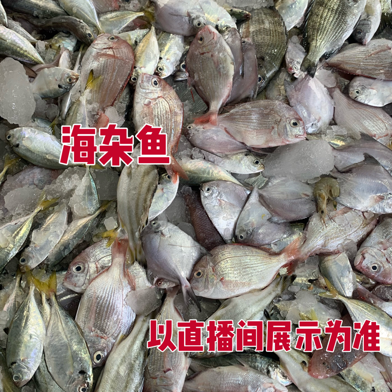 广东湛江海鲜杂鱼随机搭配顺丰全国包邮