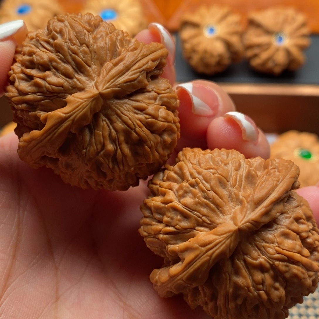 文玩核桃把件43尺寸白狮子