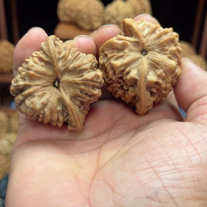 完全开放文****盘官帽核桃