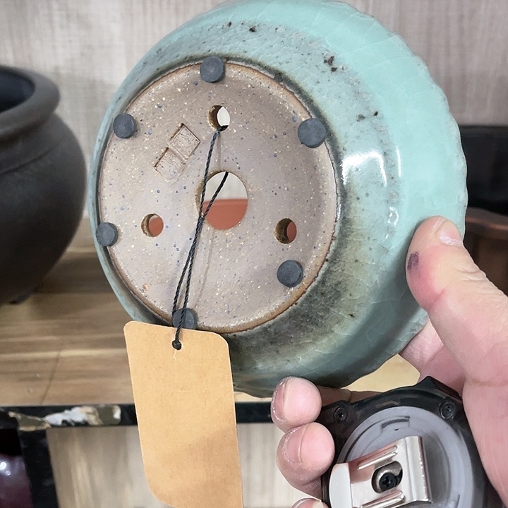 紫砂花盆我也不知道我在