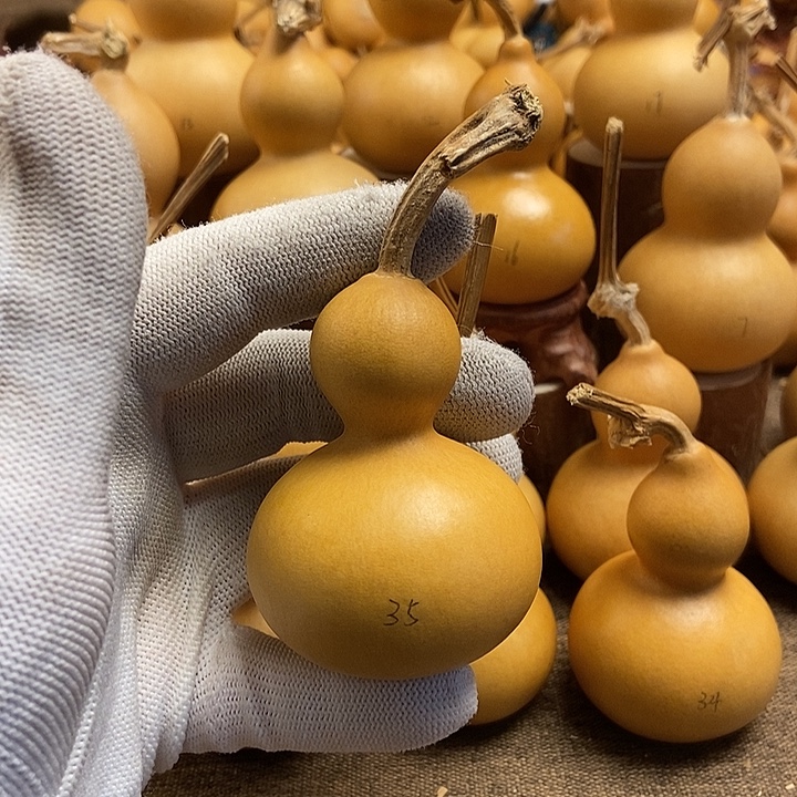 文玩葫芦 完美主义者 慎拍35