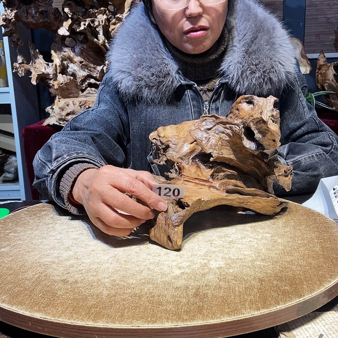 M***宋120。株木随行根艺