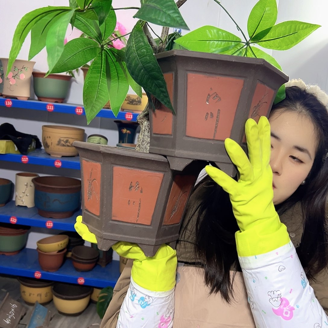 25+25红六方花盆花盆花盆