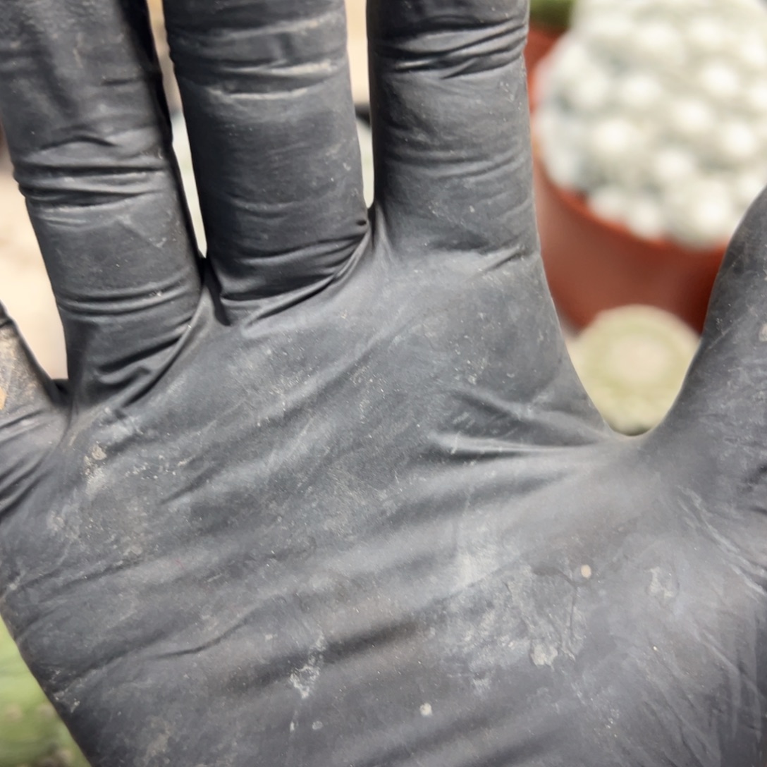 （***）余额89 零零落落 零零落落