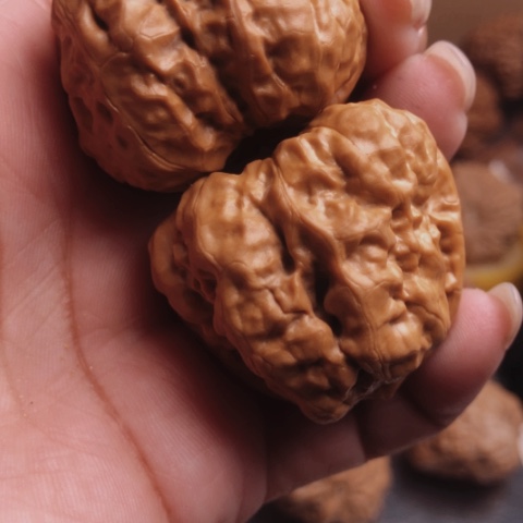 吊坠文玩核桃G蛤蟆头