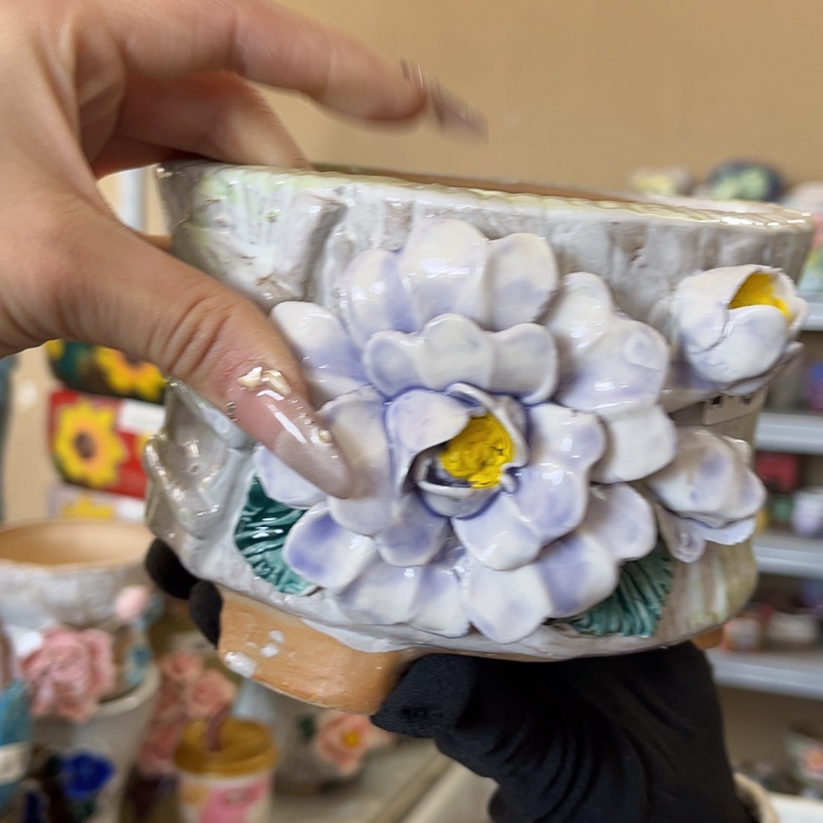 【闪购商品】红陶福利