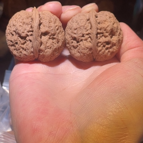 把件文玩核桃密纹金蟾带彩39