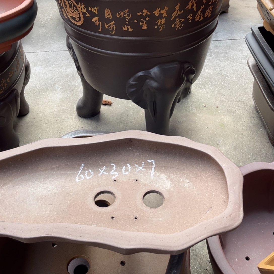 花盆紫砂盆景艺术