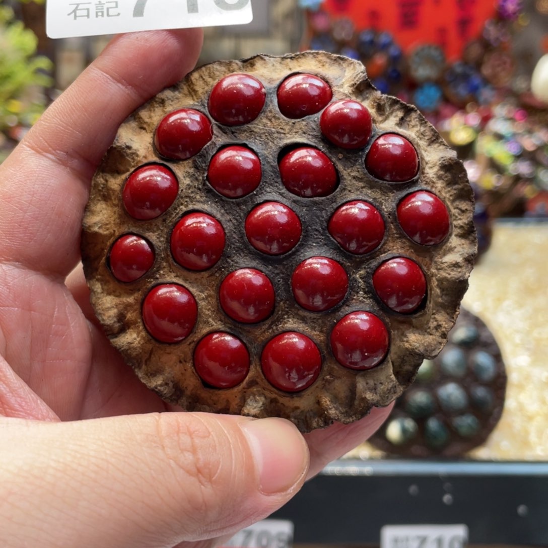 核桃木/黑胡桃（胡桃木）713蘑菇