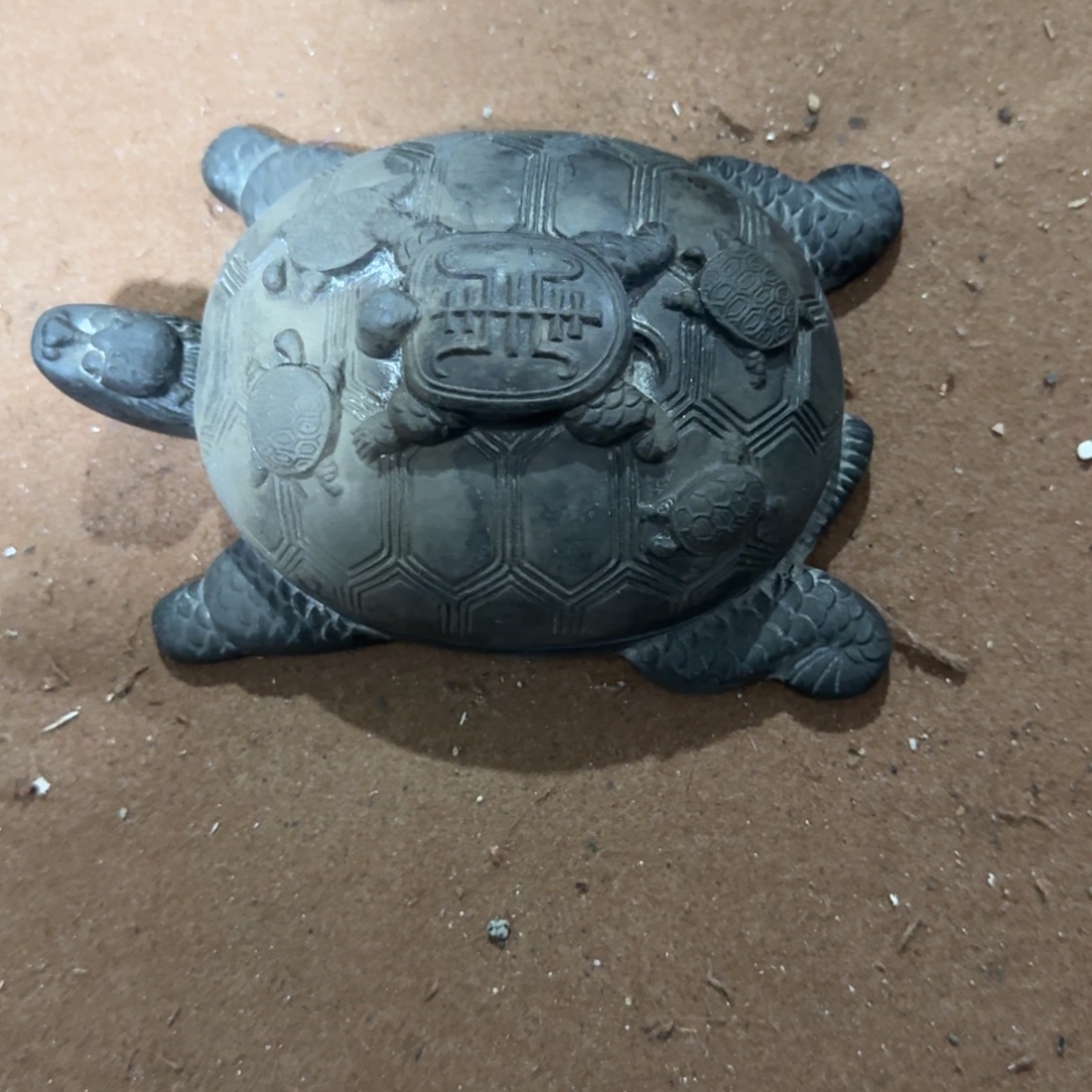 皖***杂色豆（科檀/科特迪瓦檀木）