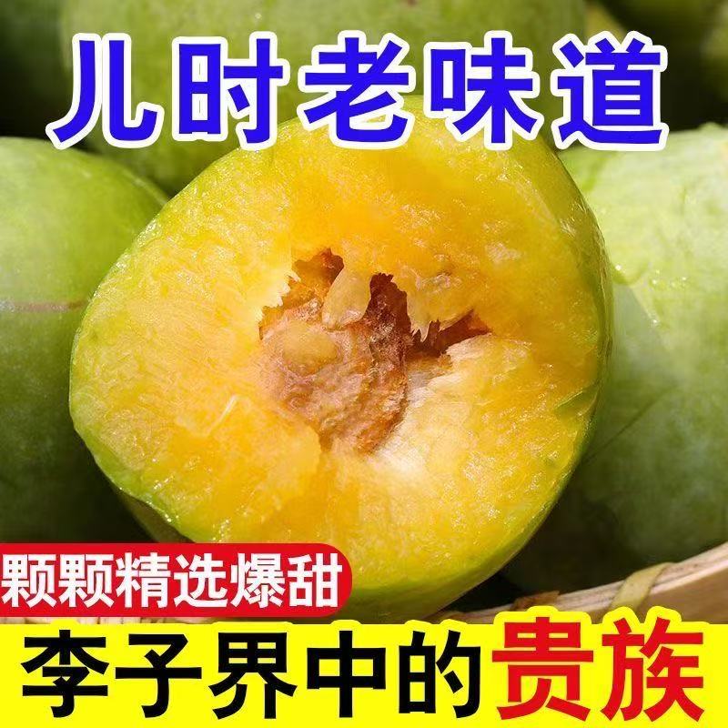 正宗脱骨李子应季新鲜青脆空心李子孕妇水果现货现发甜脆李
