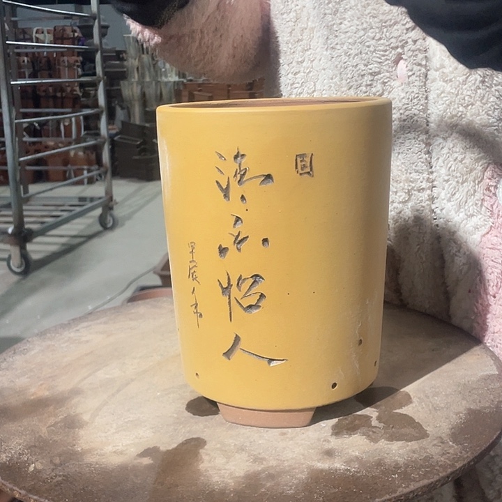 紫砂紫砂花紫砂花盆