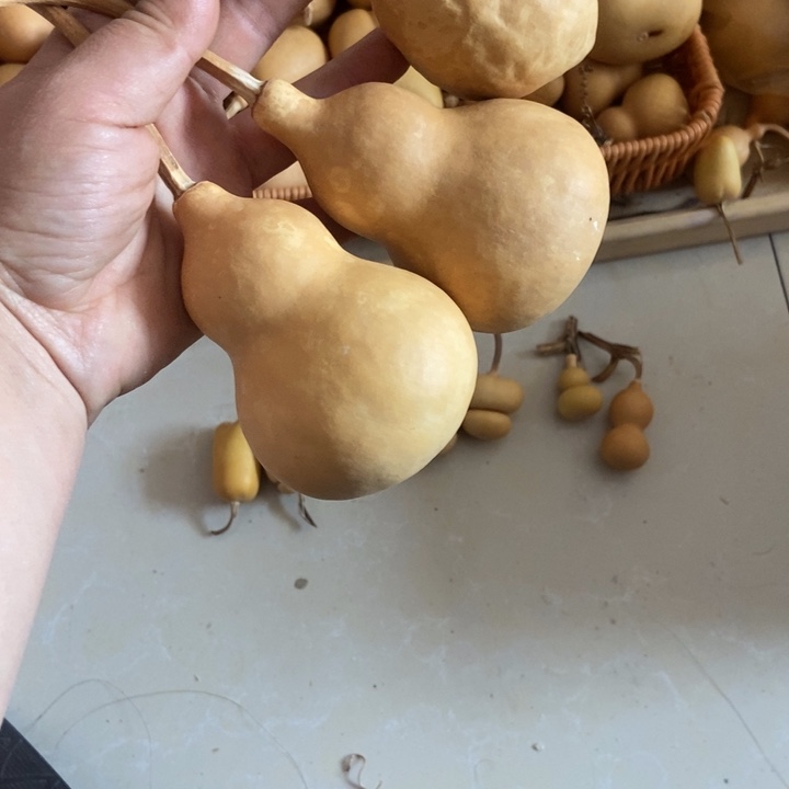 -***儿蛋花蛋花蛋花蛋花