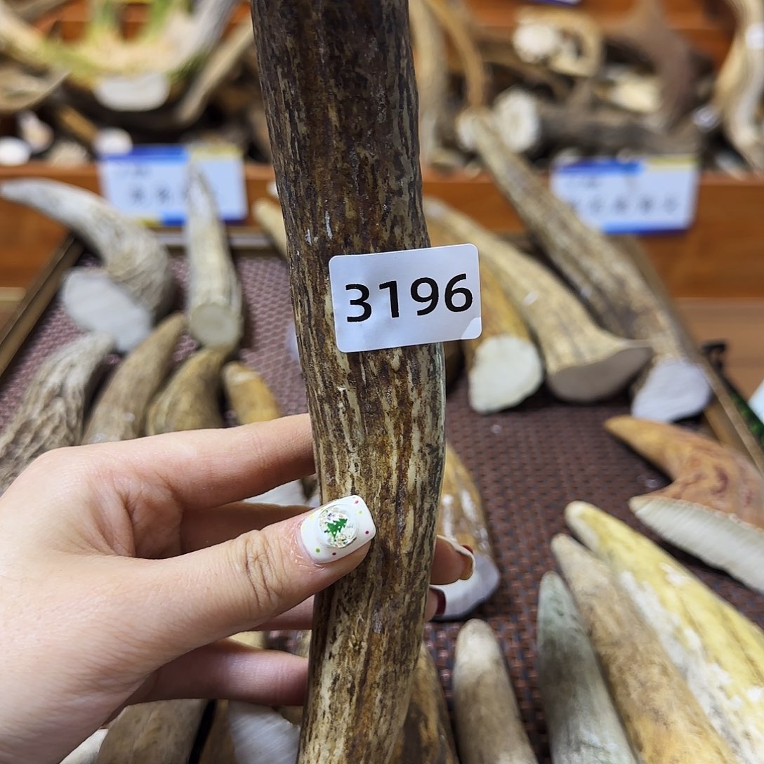 鹿骨手串/手链角尖3196