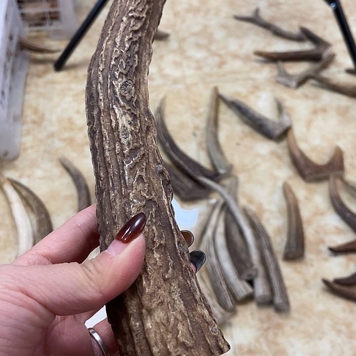 茶***寻中国大陆鹿角盘玩手把件