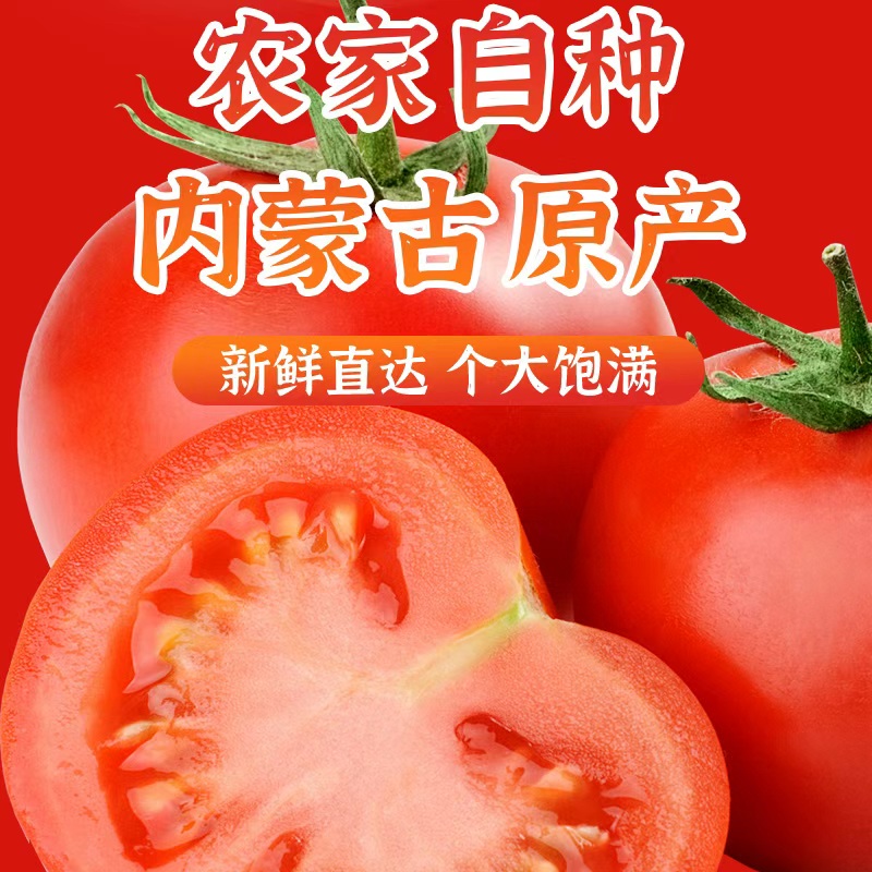 头茬沙瓤西红柿酸甜可口