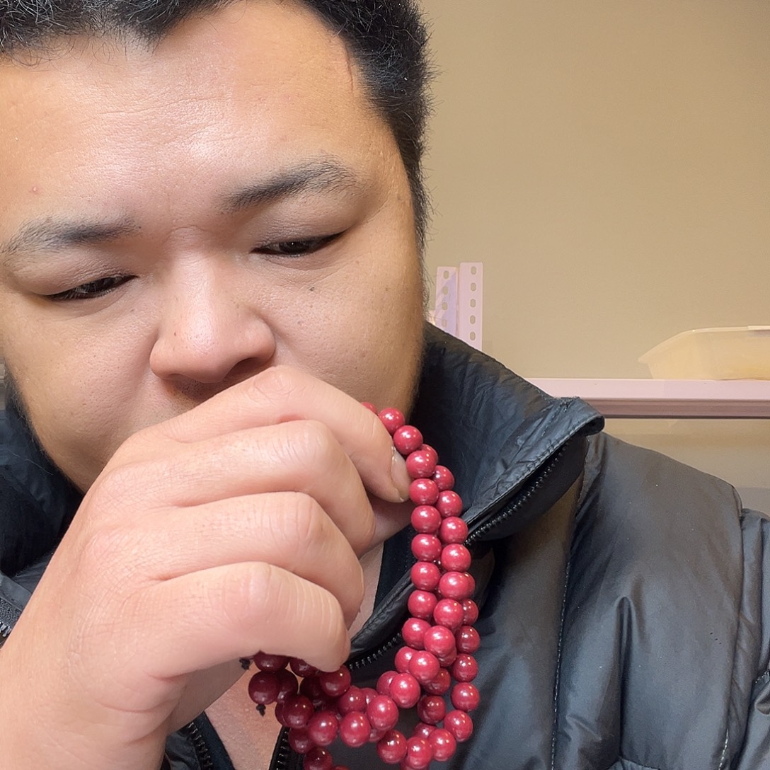 树脂非金属树脂非金属时尚手链h69
