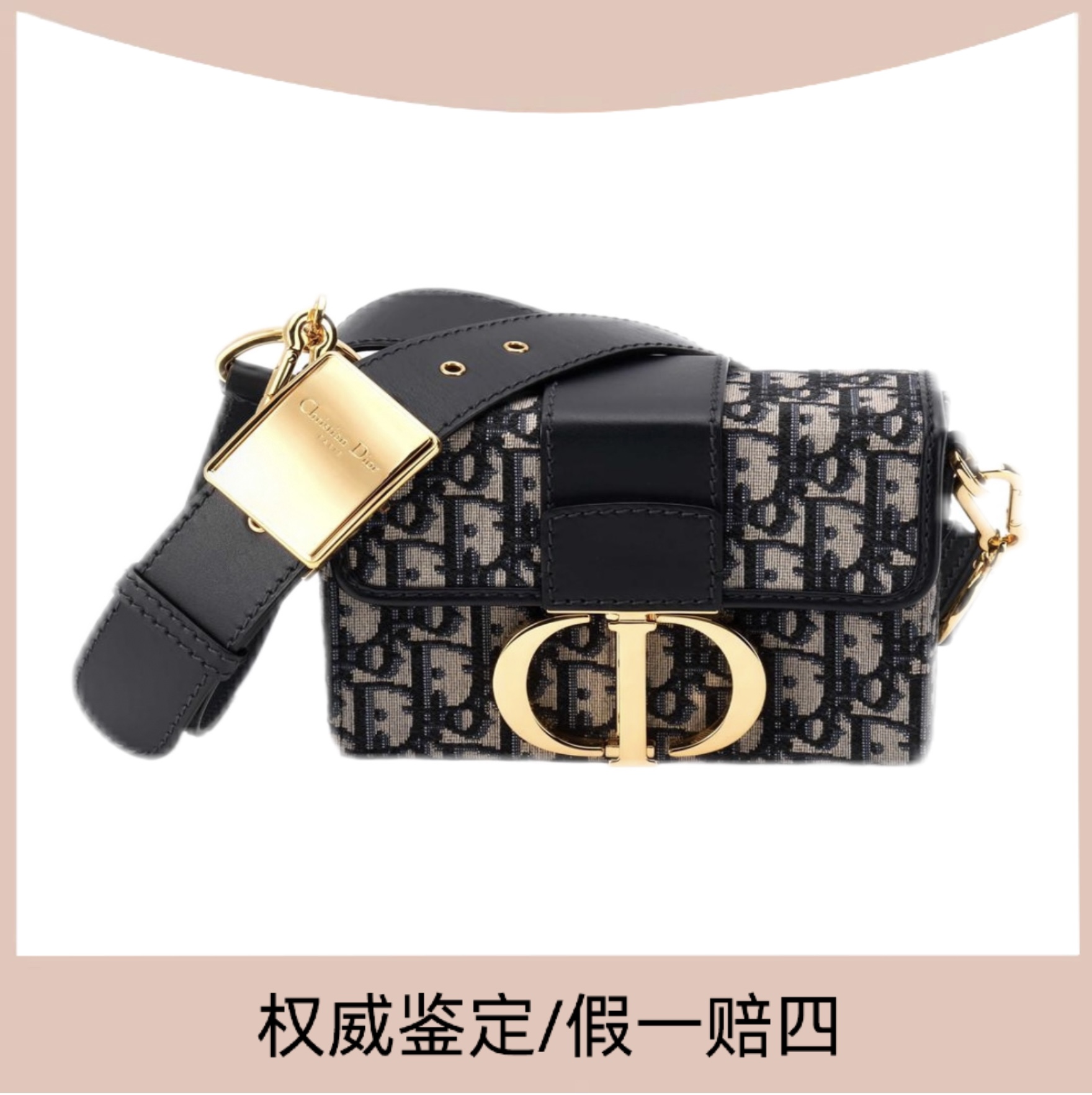 99新 DIOR/迪奥 老花刺绣盒子box单肩斜挎包女士宽肩带刺绣盒子