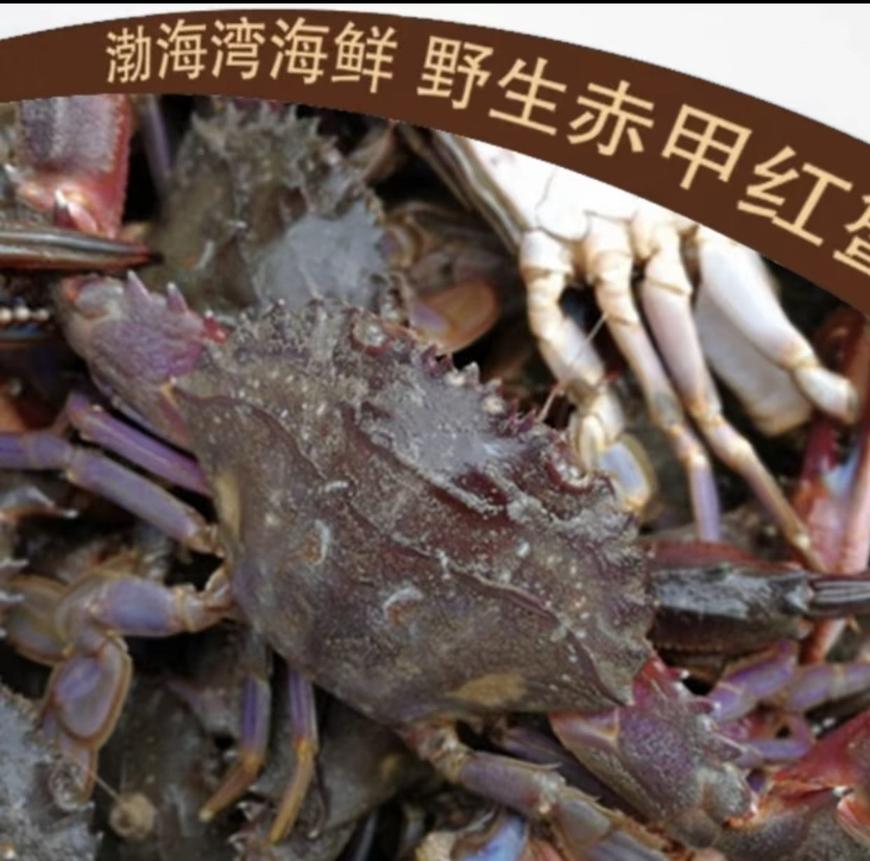 大赤甲红蟹（野生大赤甲红海蟹3斤）1斤6-7只/发快递不保活/顺丰
