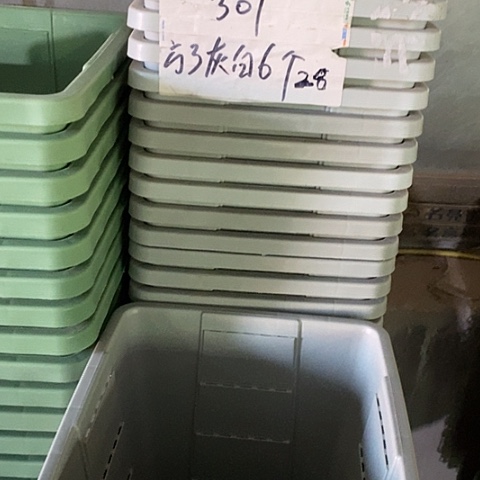 树脂编号301无托6个