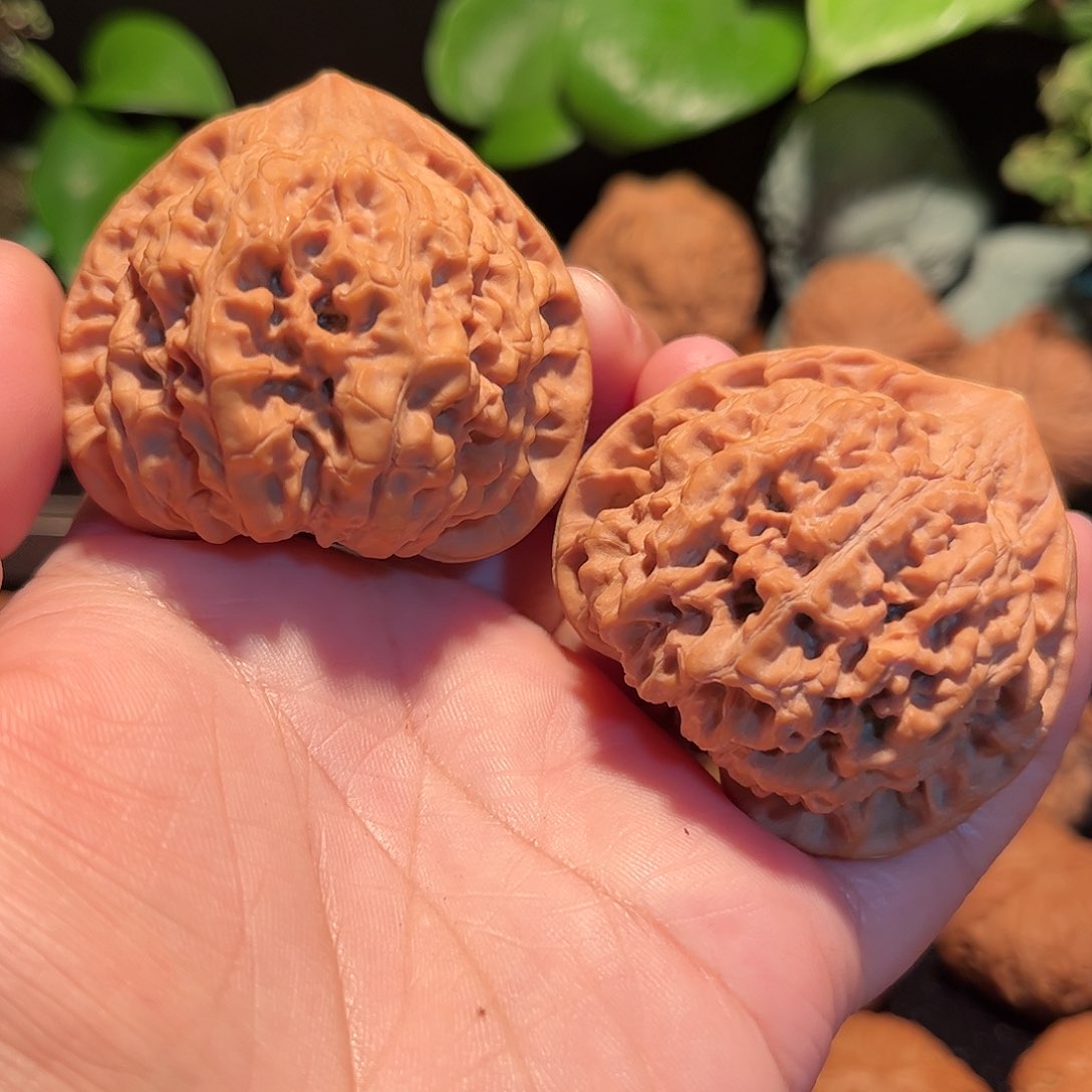 【闪购商品】文玩核桃把件官帽全品50