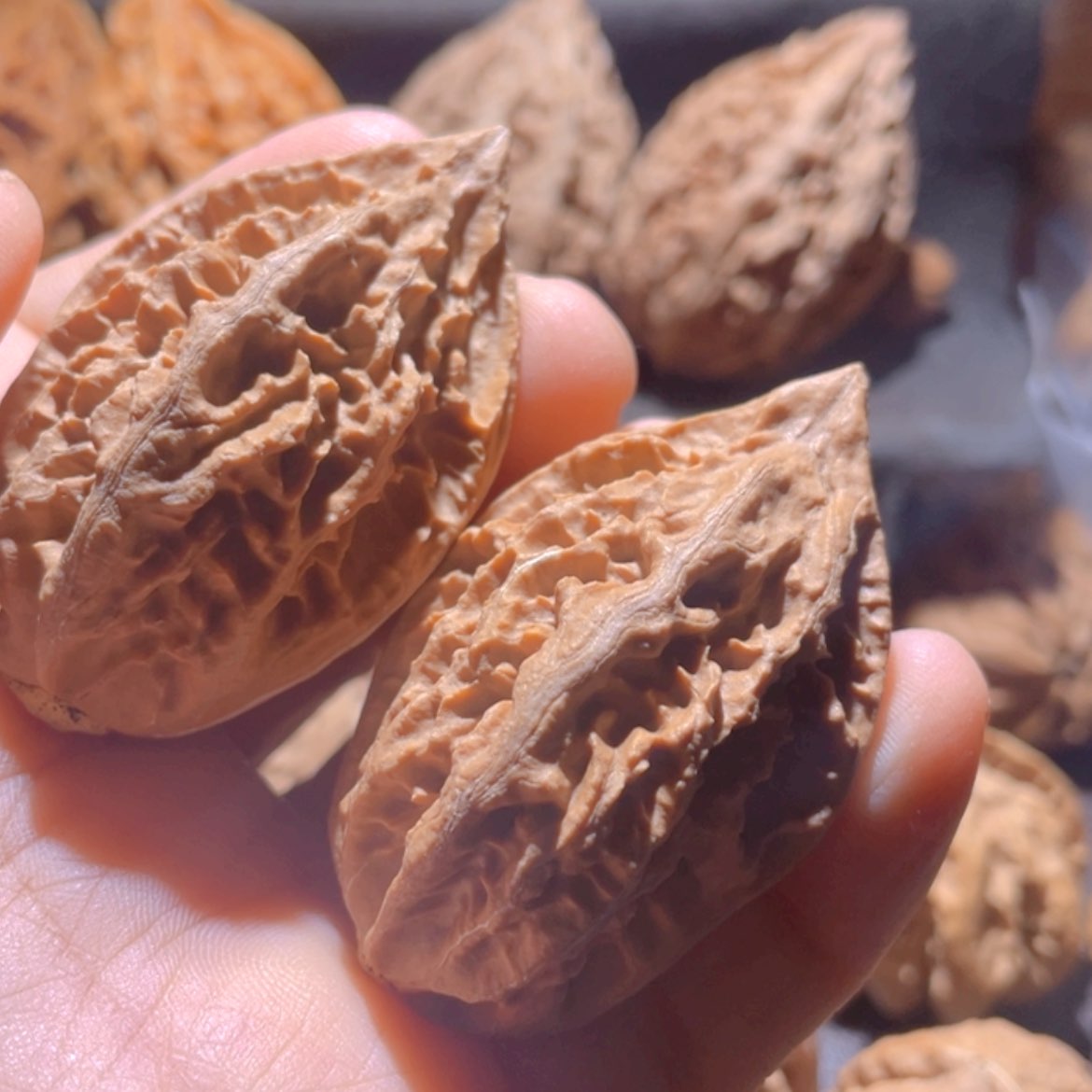 【闪购商品】文玩核桃把件东北楸子8