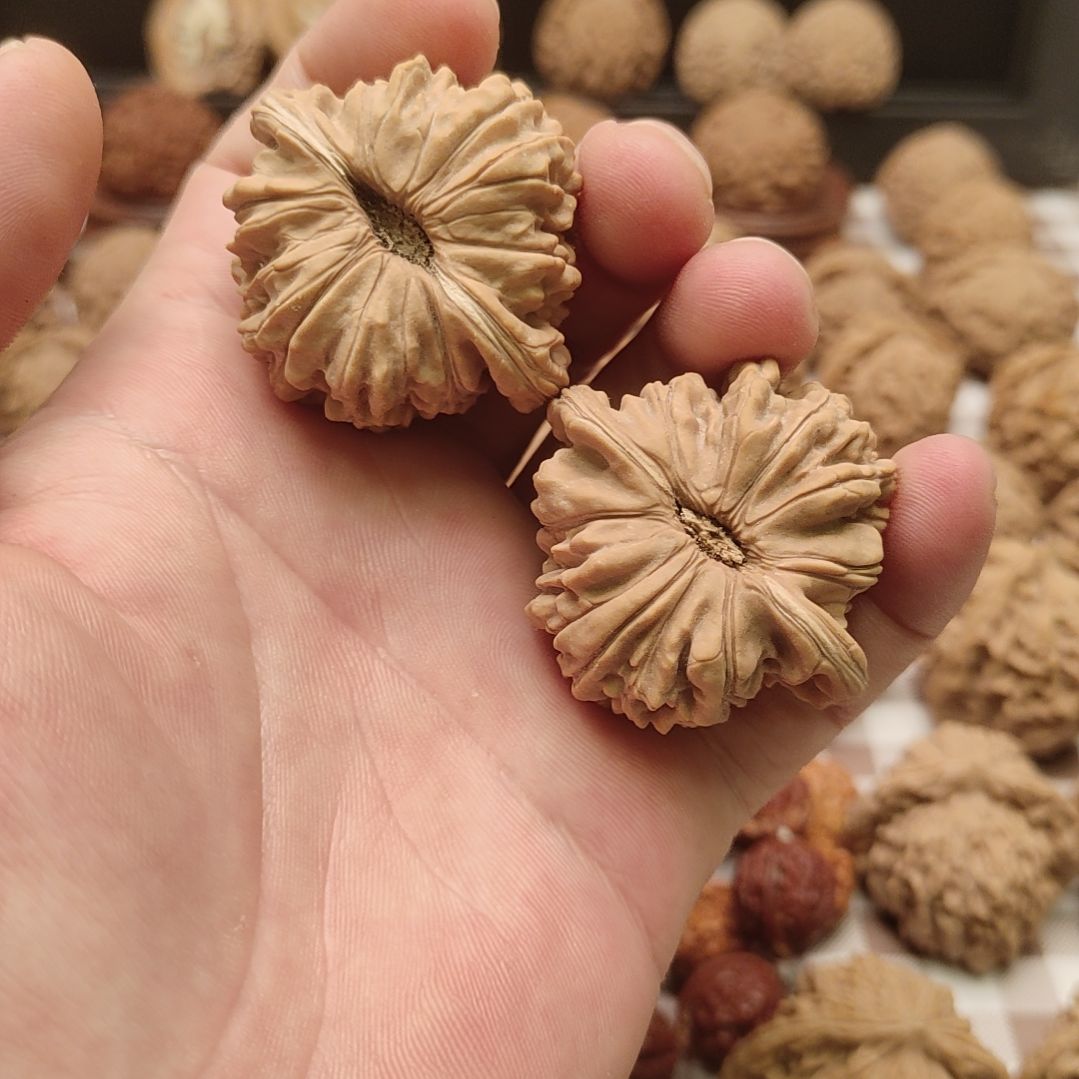 糖***爸大叶紫檀（黑酸枝木类）蓟县山地石楼