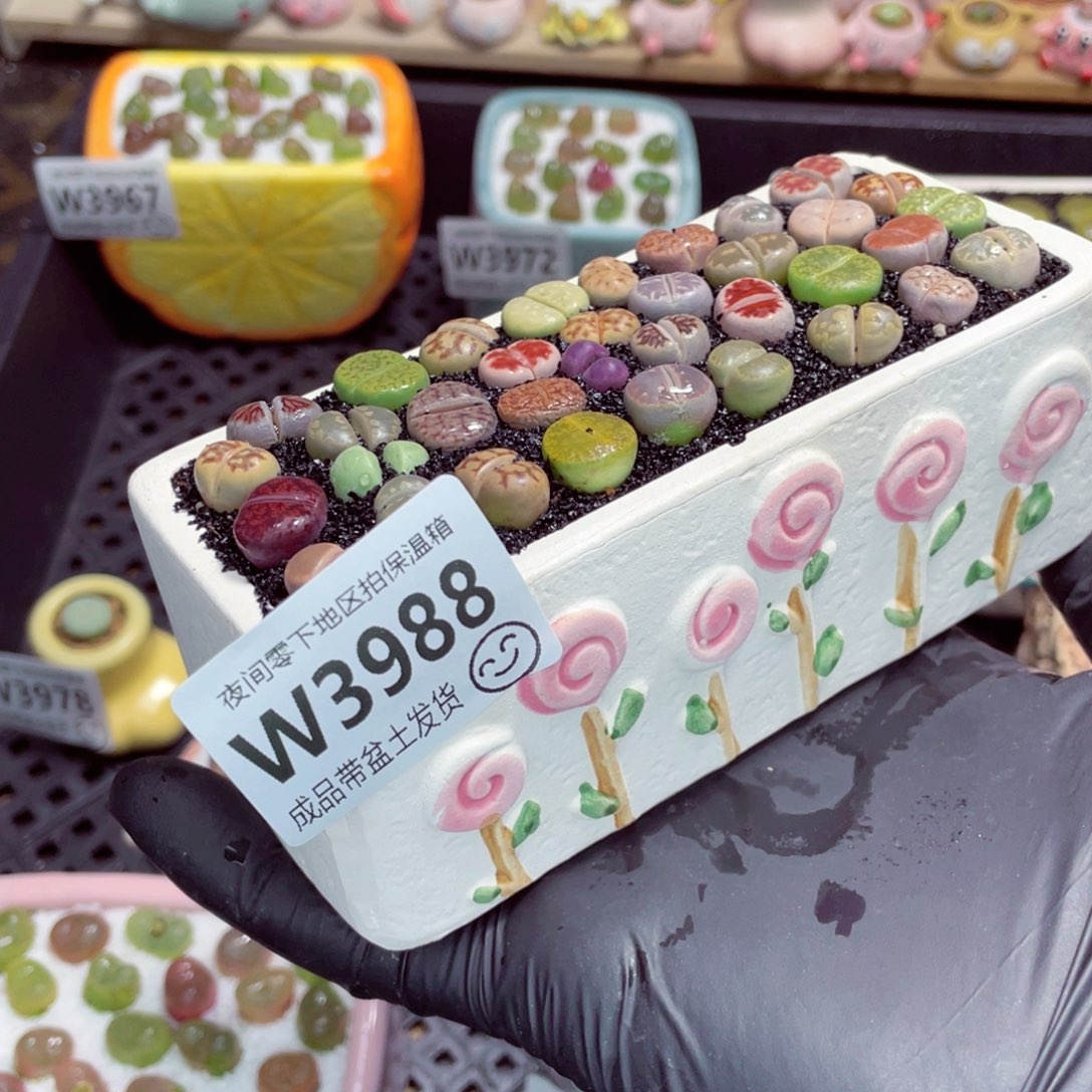 夜间零下地区拍保温箱w3988