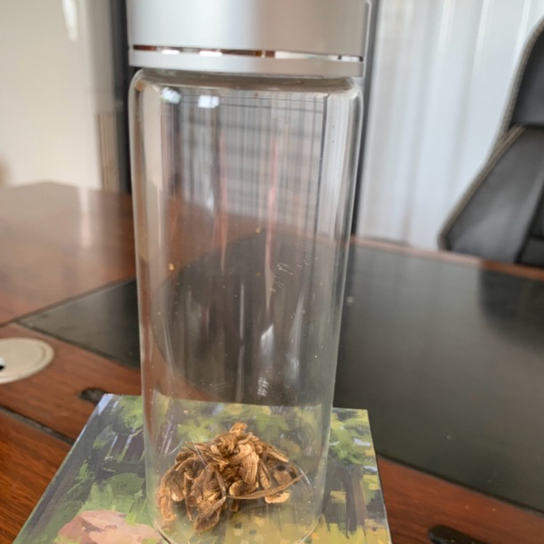 养香罐子多样性发一