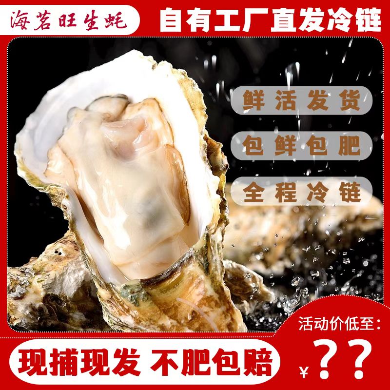 【买5斤送5斤】新鲜正宗原产地鲜活生蚝牡蛎海蛎子包邮蒸煮烤生蚝②