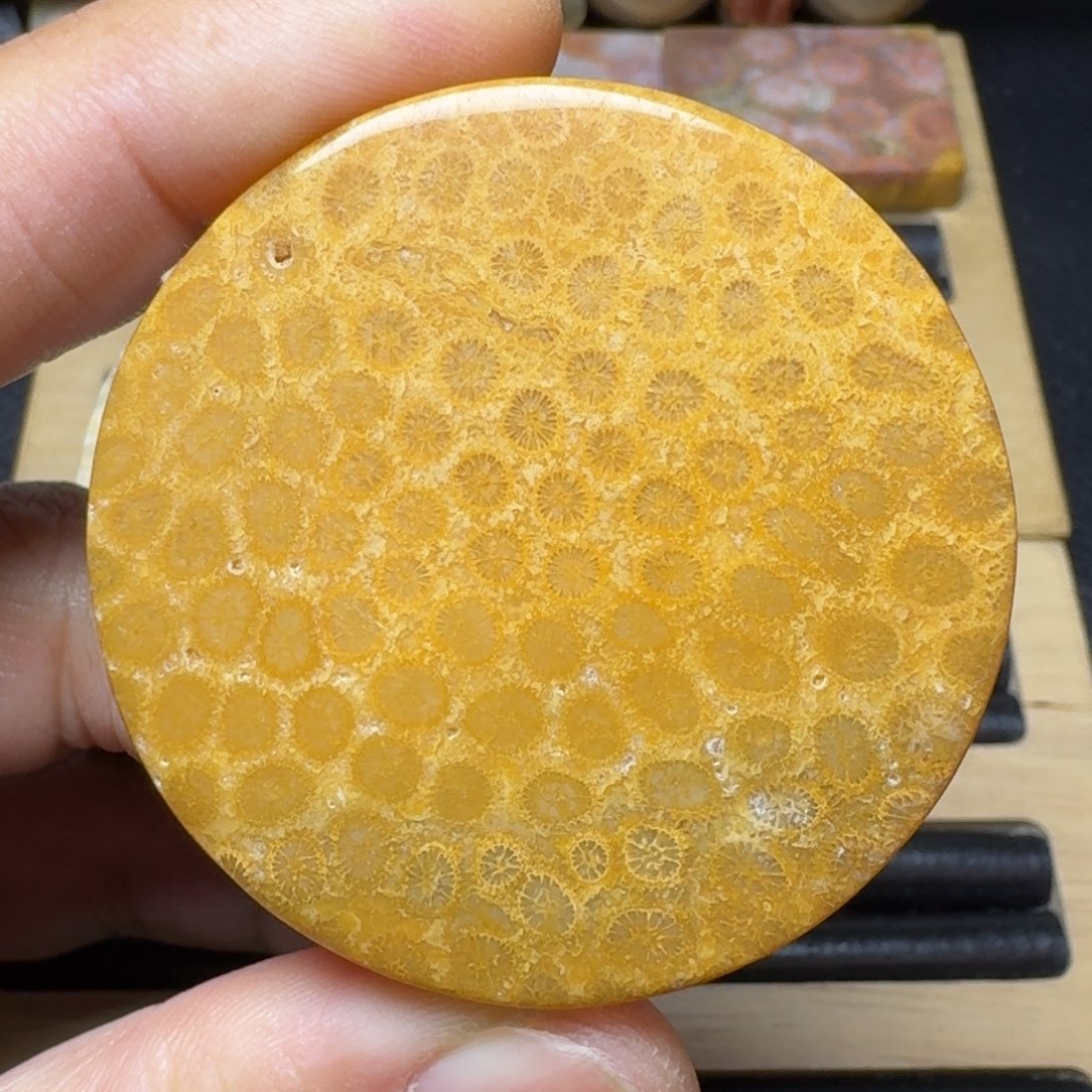 硅化玉纯天然色有机玉石手镯芯未镶嵌